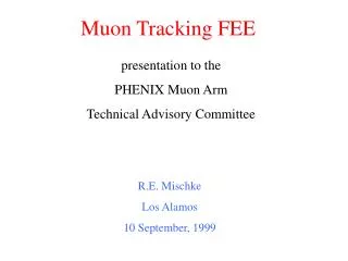 Muon Tracking FEE