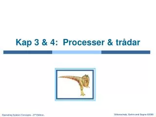 kap 3 4 processer tr dar
