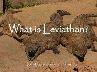 What is Leviathan?
