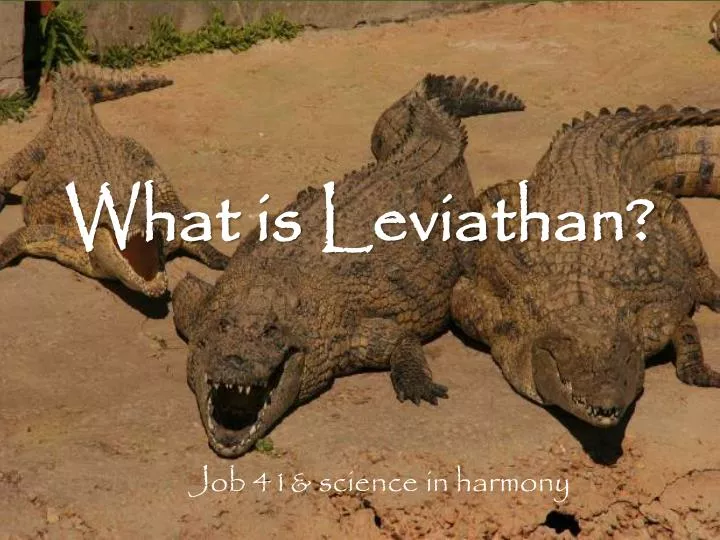 what is leviathan