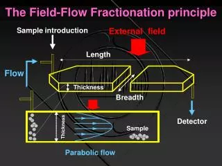The Field-Flow Fractionation principle