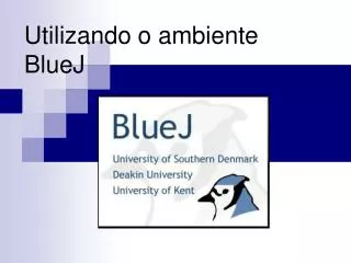utilizando o ambiente bluej