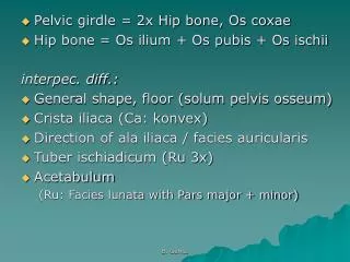 Pelvic girdle = 2x Hip bone, Os coxae Hip bone = Os ilium + Os pubis + Os ischii interpec. diff.: