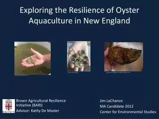 Exploring the Resilience of Oyster Aquaculture in New England