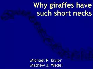 Why giraffes have such short necks