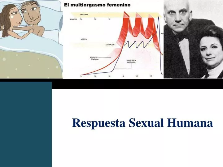 respuesta sexual humana