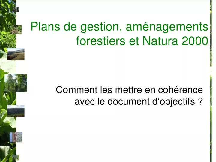 plans de gestion am nagements forestiers et natura 2000