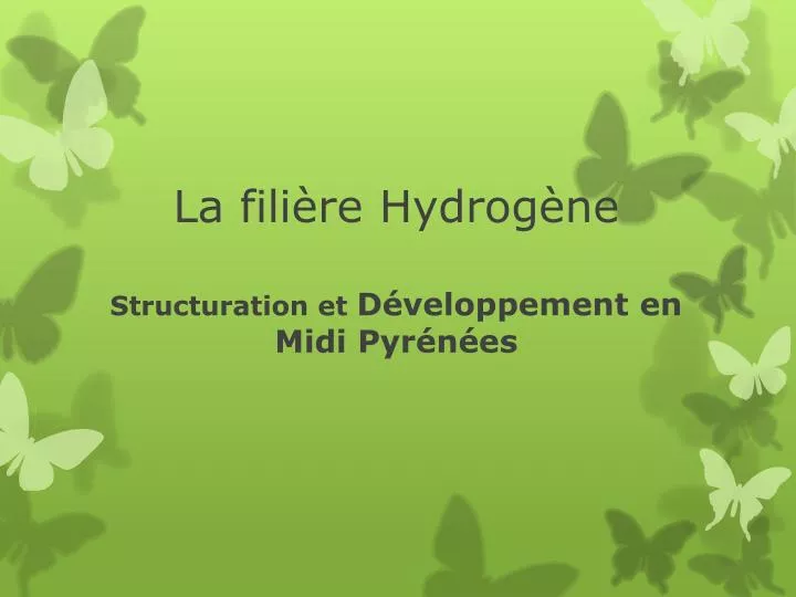 la fili re hydrog ne structuration et d veloppement en midi pyr n es