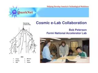 Cosmic e-Lab Collaboration Bob Peterson Fermi National Accelerator Lab