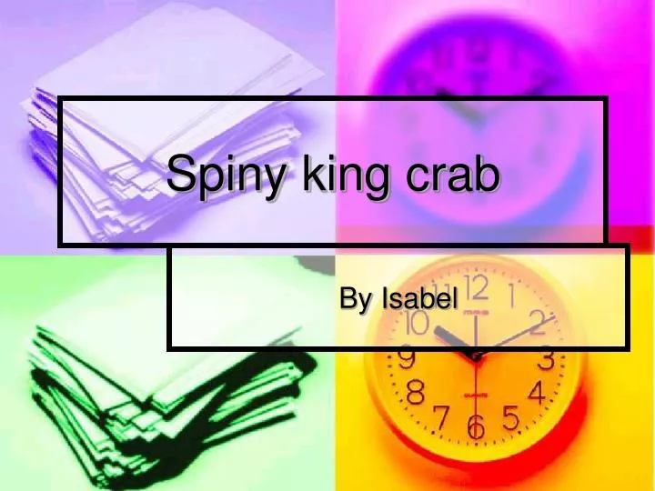 spiny king crab
