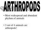 ARTHROPODS - slide 1