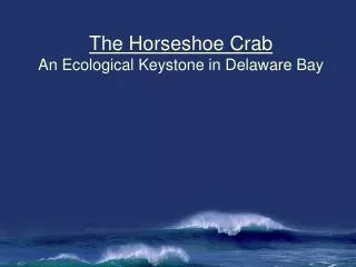 The Horseshoe Crab An Ecological Keystone in Delaware Bay