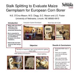 Stalk Splitting to Evaluate Maize Germplasm for European Corn Borer