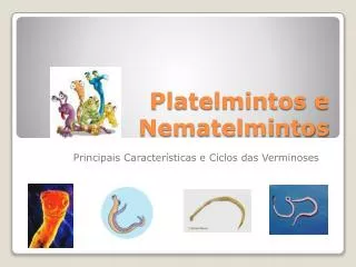 platelmintos e nematelmintos