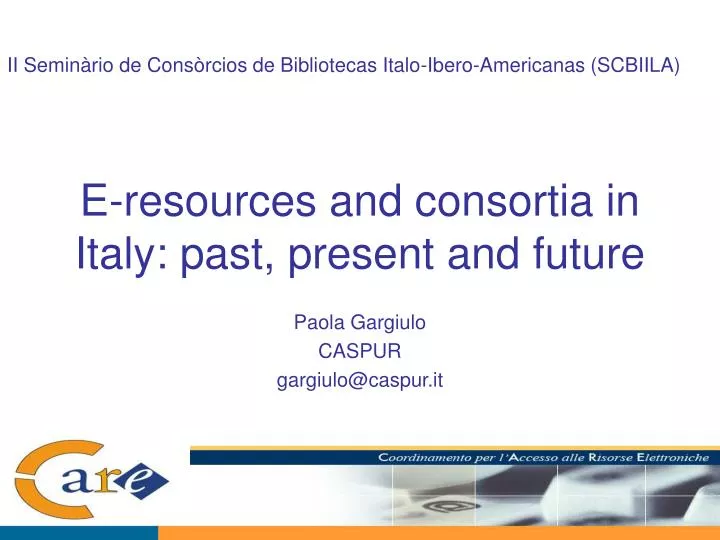 e resources and consortia in italy past present and future