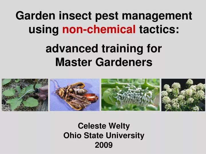 garden insect pest management using non chemical tactics advanced training for master gardeners