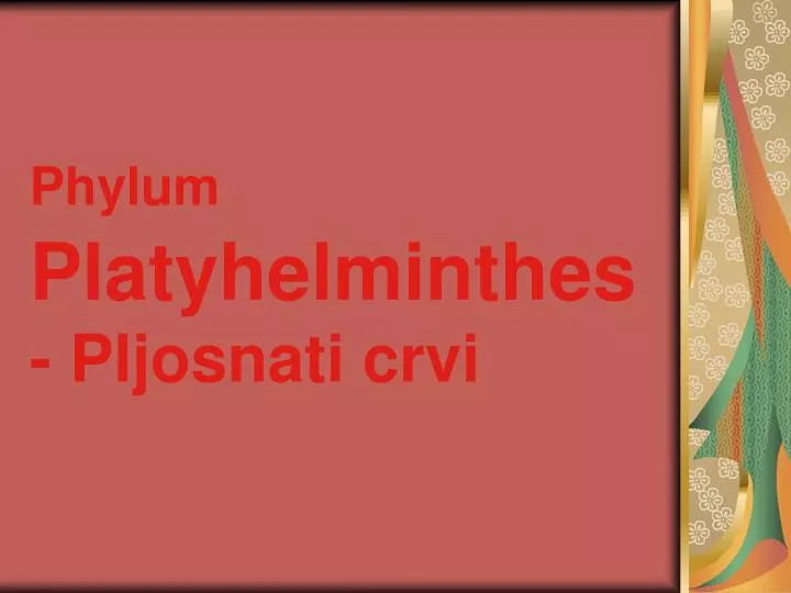 phylum platyhelminthes pljosnati crvi