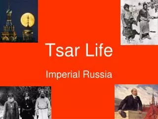 Tsar Life