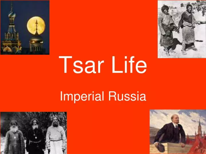 tsar life