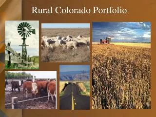 Rural Colorado Portfolio