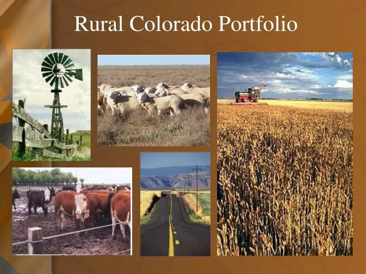 rural colorado portfolio