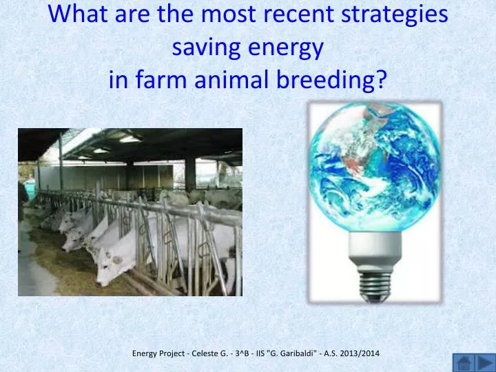 what are the most recent strategies saving energy in farm animal breeding