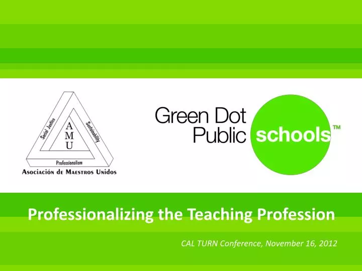 professionalizing the teaching profession