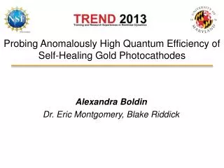 Probing Anomalously High Quantum Efficiency of Self-Healing Gold Photocathodes