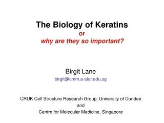 The Biology of Keratins or why are they so important?