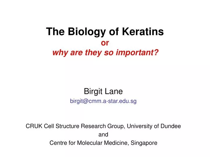 the biology of keratins or why are they so important