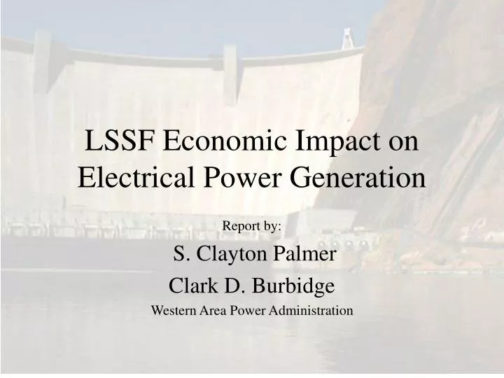 lssf economic impact on electrical power generation