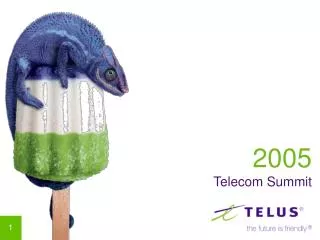 2005 Telecom Summit