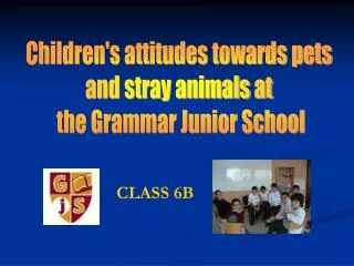 Children's attitudes towards pets and stray animals at the Grammar Junior School