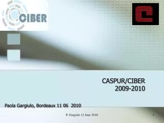 CASPUR/CIBER 2009-2010
