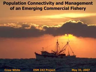 Population Connectivity and Management of an Emerging Commercial Fishery