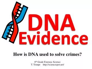 How is DNA used to solve crimes?