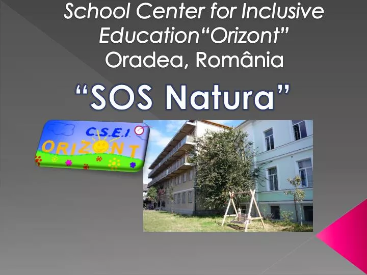 school center for inclusive education orizont oradea rom nia