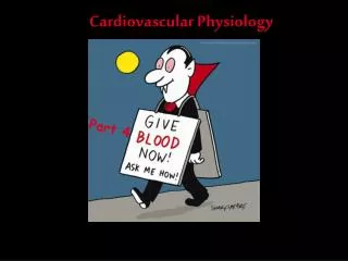 Cardiovascular Physiology