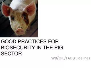 GOOD PRACTICES FOR BIOSECURITY IN THE PIG SECTOR