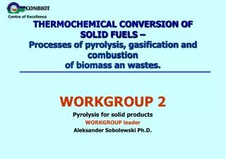 WORKGROUP 2 Pyrolysis for solid products WORKGROUP leader Aleksander Sobolewski Ph.D.