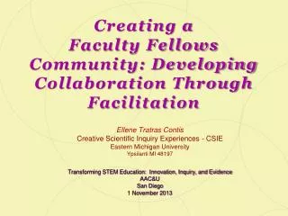Creating a Faculty Fellows Community: Developing Collaboration Through Facilitation