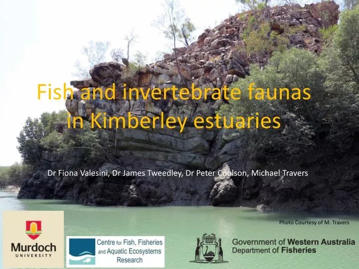 fish and invertebrate faunas in kimberley estuaries