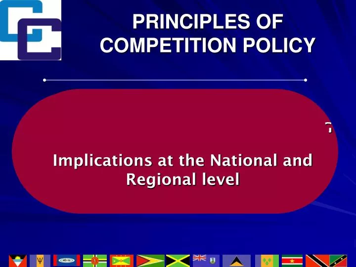 principles of competition policy