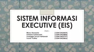 sistem informasi executive eis