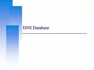 dns database