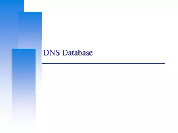 dns database