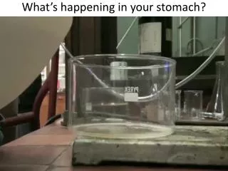 What’s happening in your stomach?