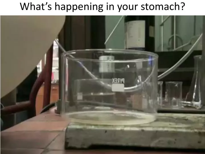 what s happening in your stomach