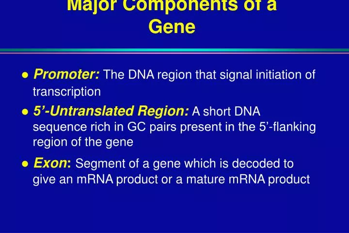 major components of a gene