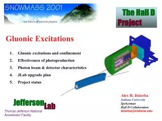 gluonic excitations